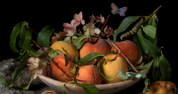 A Handel Celebration. Peaches and Hydrangeas After G.G., Paulette Tavormina