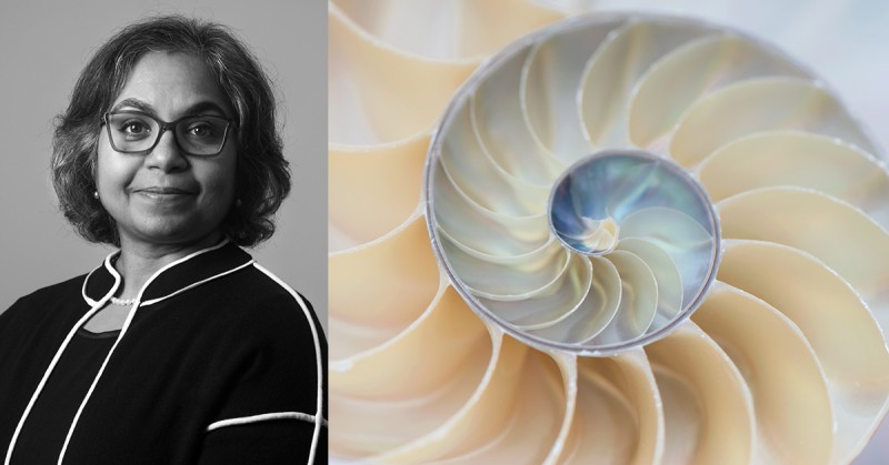 Photographer Elizabeth Hesp and her image, Nautilus Twirl