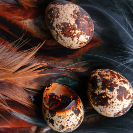 Three brown and white speckled eggs rest on feathers. One egg is cracked and burnt with heat glowing at it's edges.