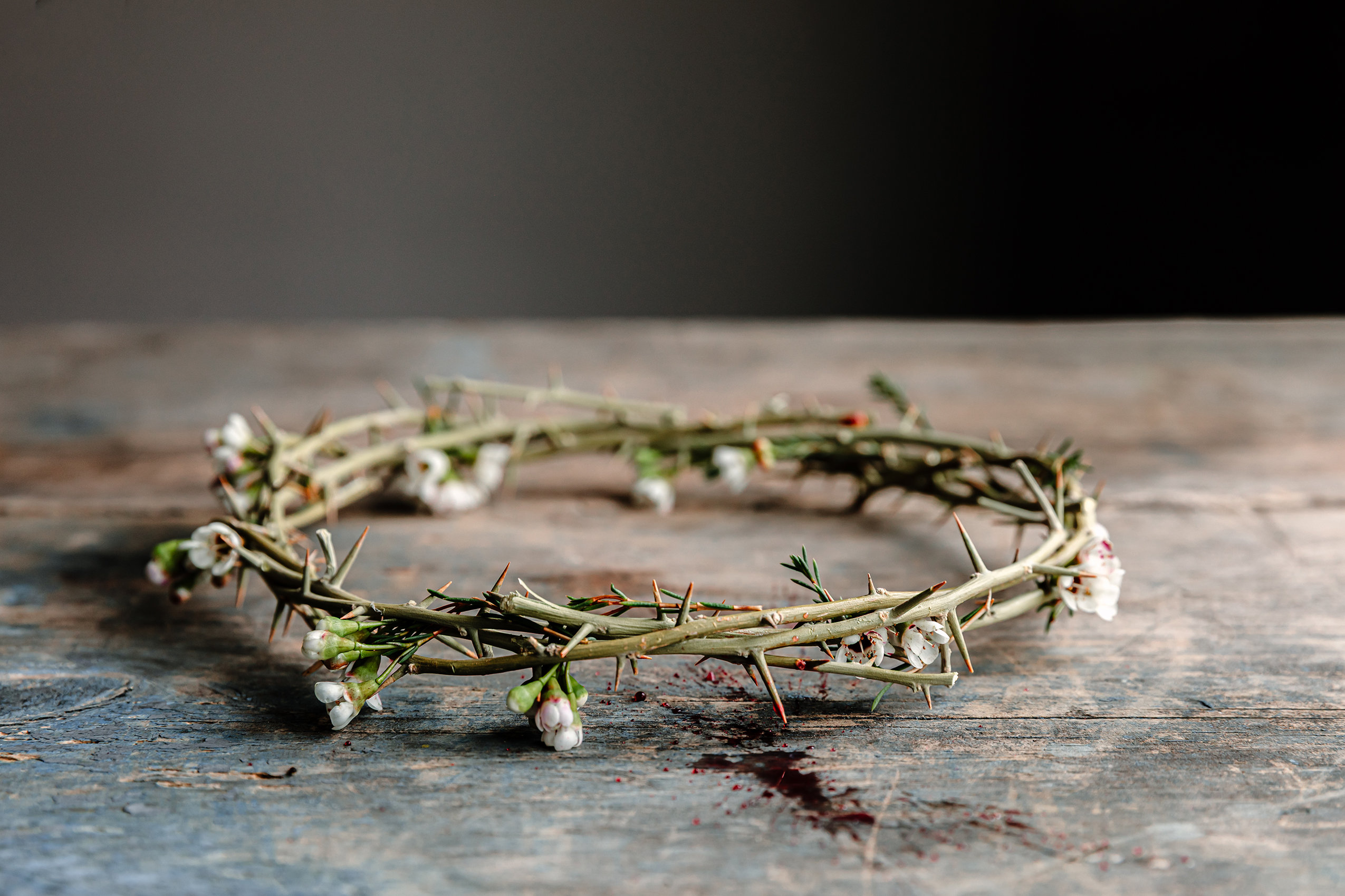 Bach St John Passion concert image