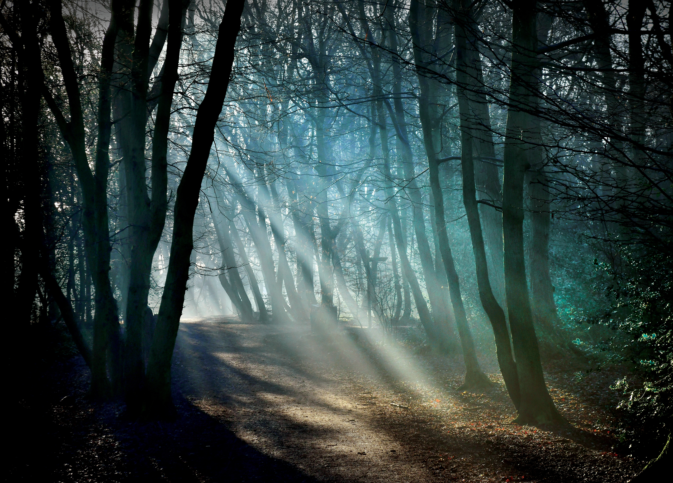 Purcell King Arthur concert image